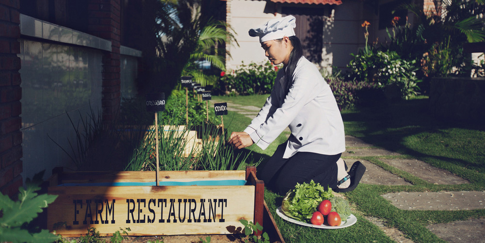 farm-to-table